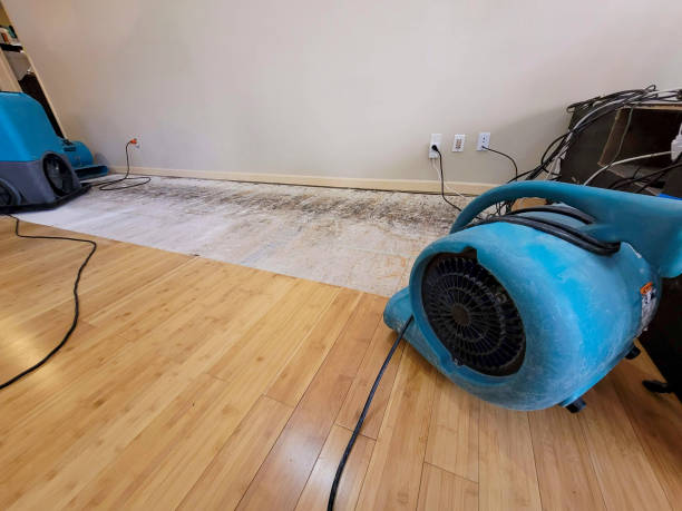 Professional Basement Flood Cleanup technician working in Alger, OH